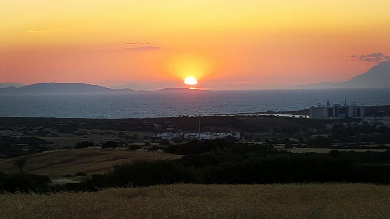 Mavi Pansiyon & Restaurant Didim Eksteriør bilde